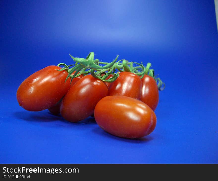 Isolated fresh italian tomatoes - isolated on blue background