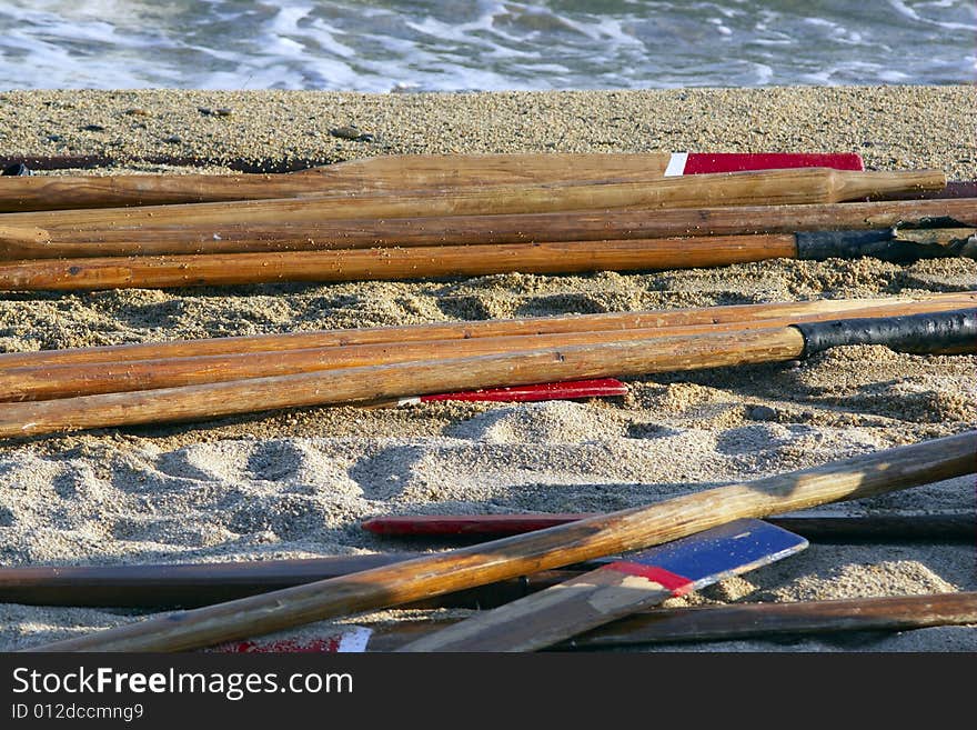 A lot of paddles stand on the beach. A lot of paddles stand on the beach