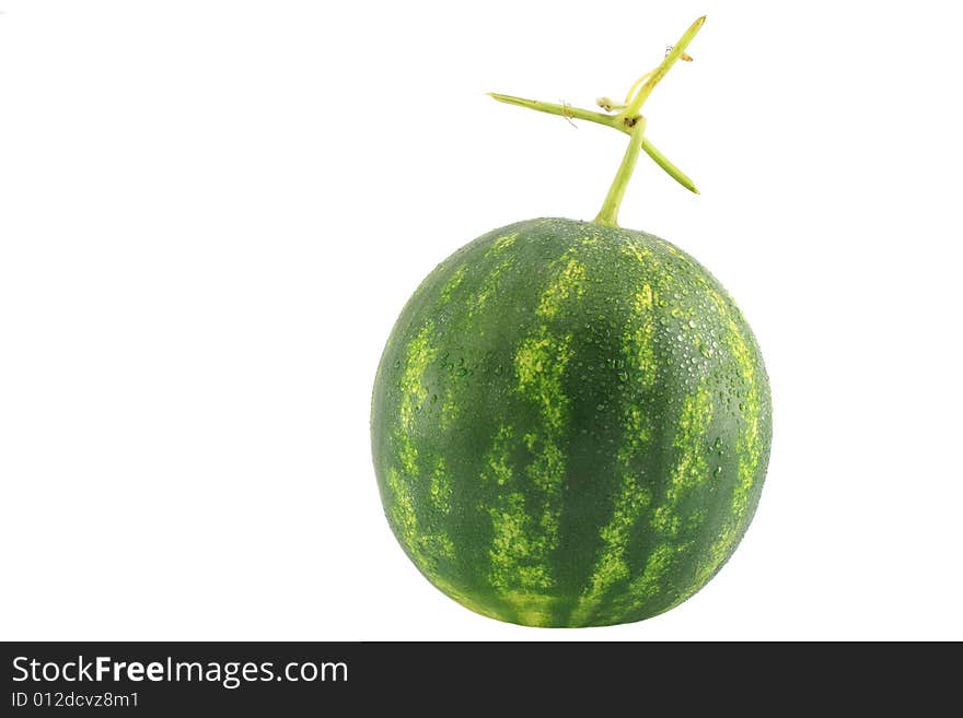 Watermelon isolated on white background