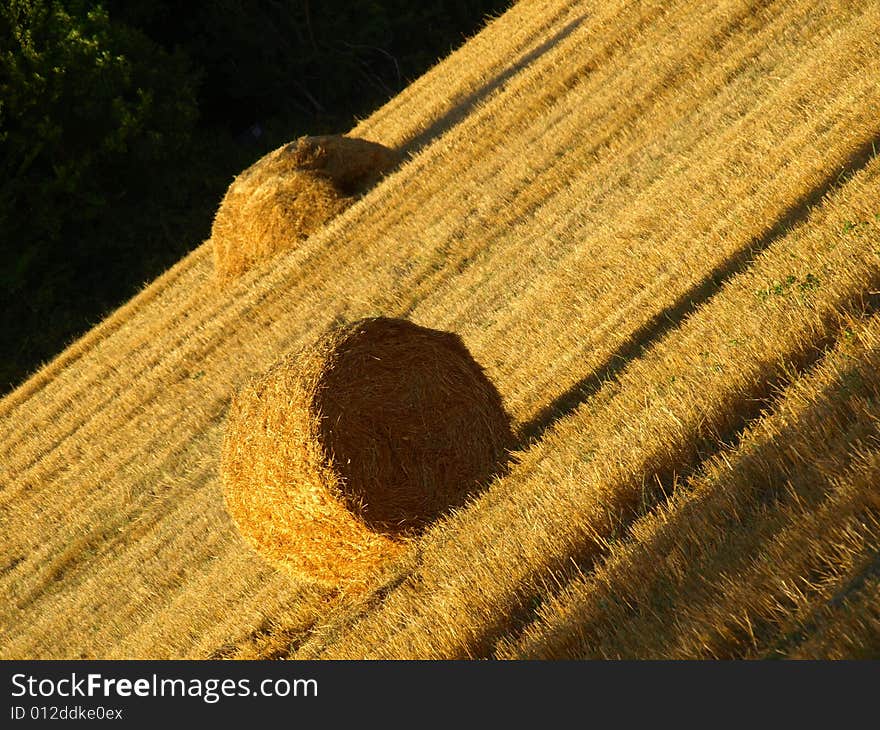 A suggestive shot of hay's rolls in a field in Tuscany