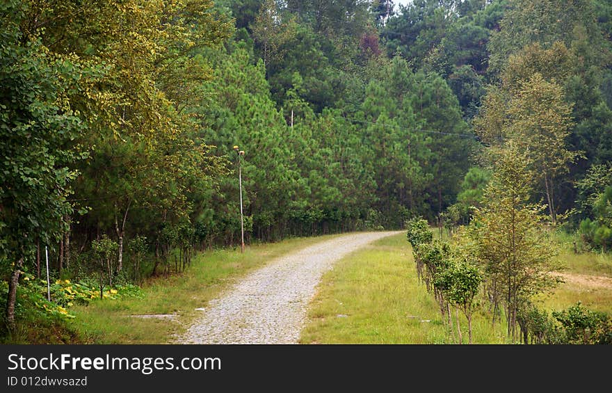 Bending the extension of the road in the mountains,our thinking was to guide it away.