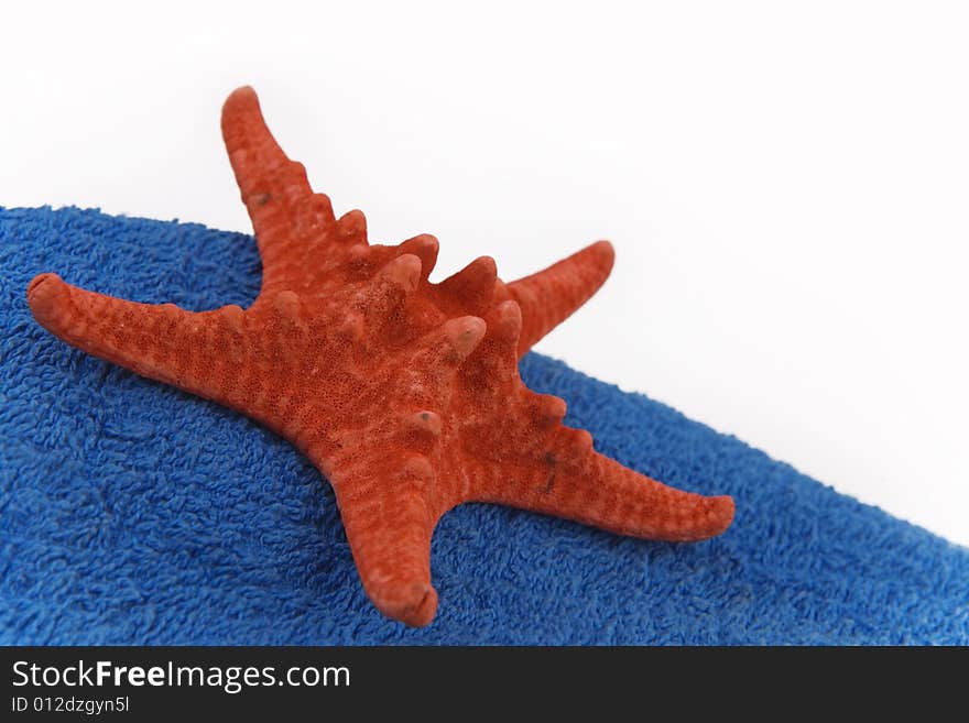 Red starfish on a towel