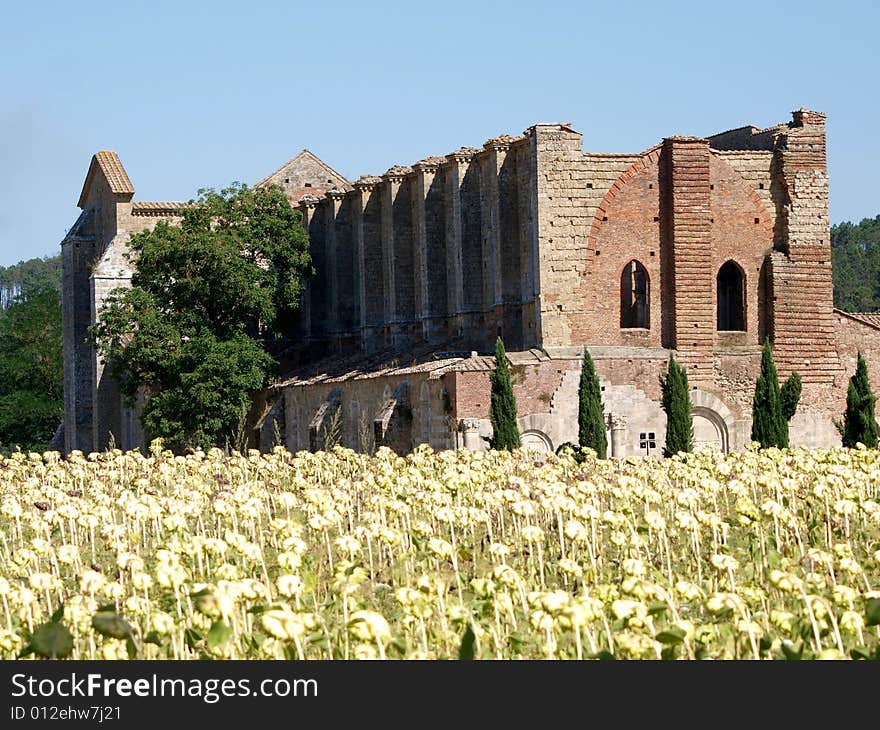 The great abbey of Saint Galgano - Tuscany