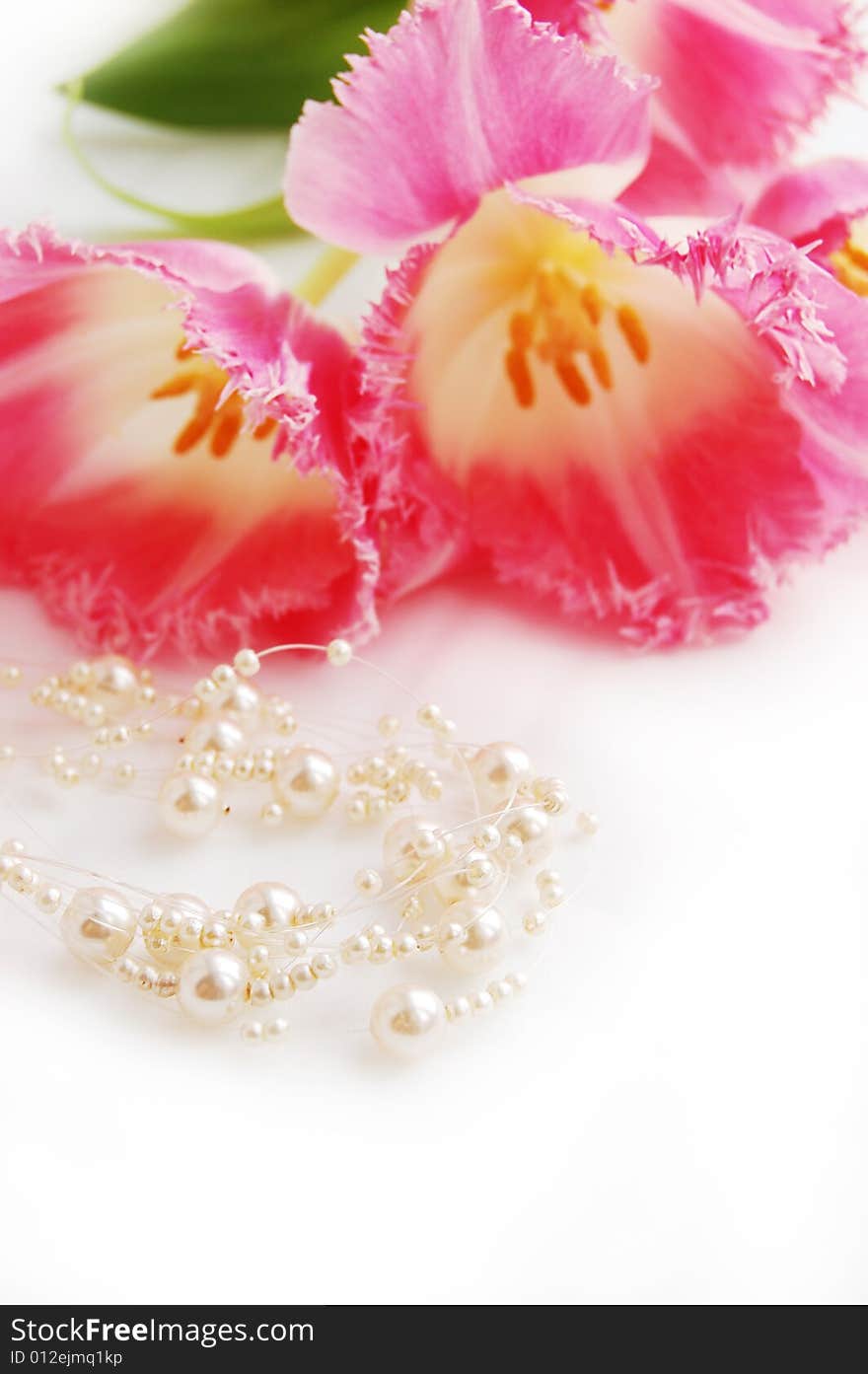 Pink tulips and pearlnecklace, engagement concept