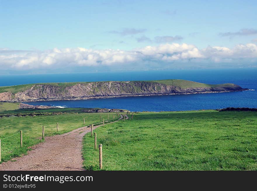 Seaside Meadows