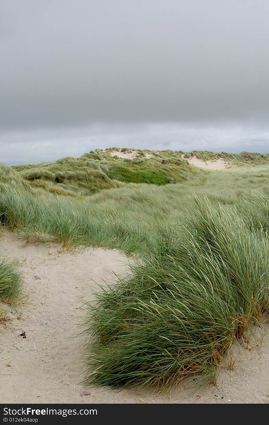 Wind Storm