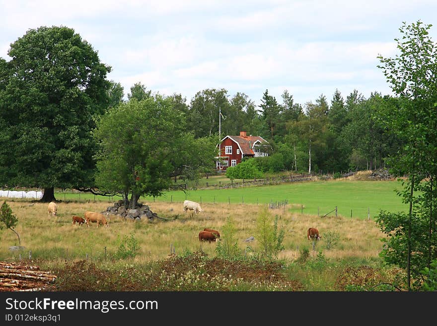 Buildings and landscape in sweden. Buildings and landscape in sweden