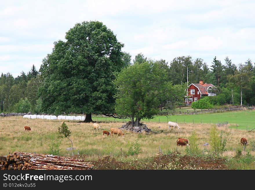 Buildings and landscape in sweden. Buildings and landscape in sweden