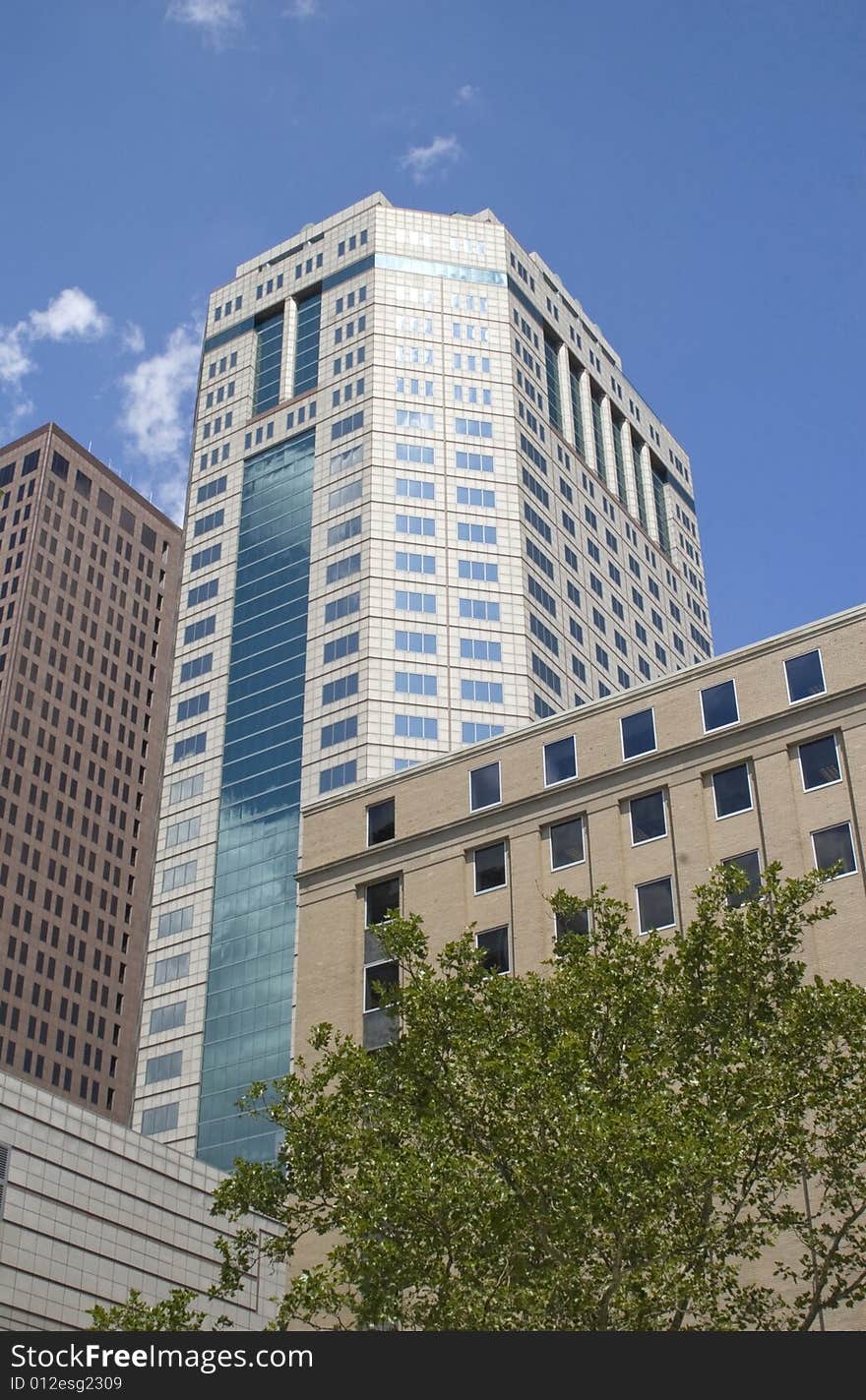 Urban city building against blue sky with green tree in forefront. Urban city building against blue sky with green tree in forefront.