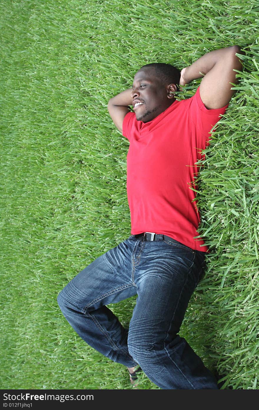 Verticle image of a Man laying on the grass. Verticle image of a Man laying on the grass.