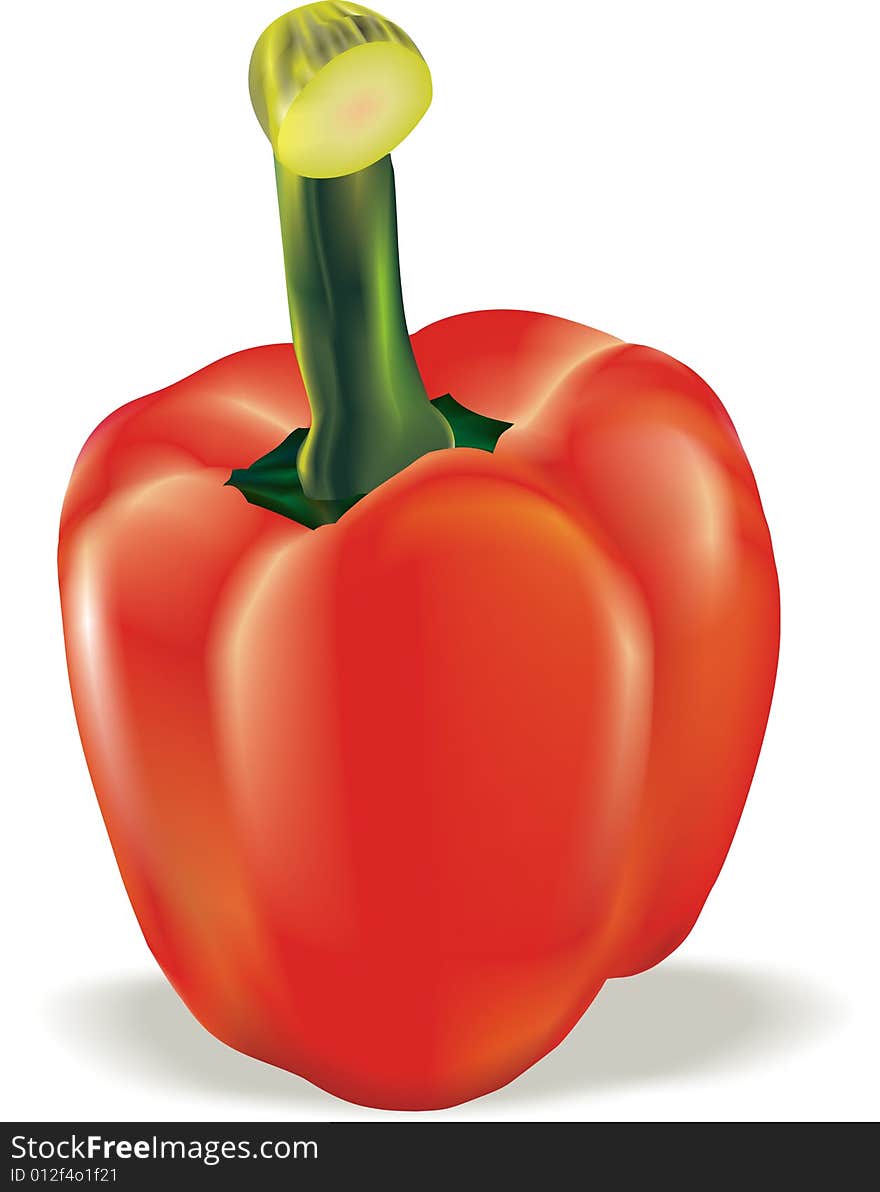 Red pepper on a white background, an illustration