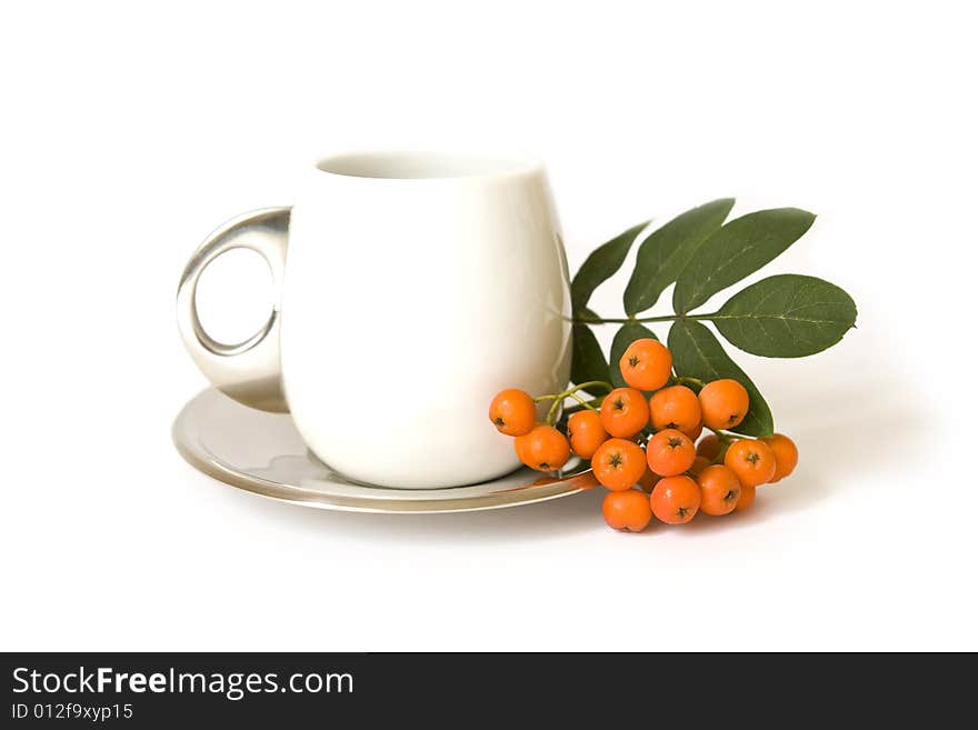 Ceramic cup and mountain ash isolated on a white background