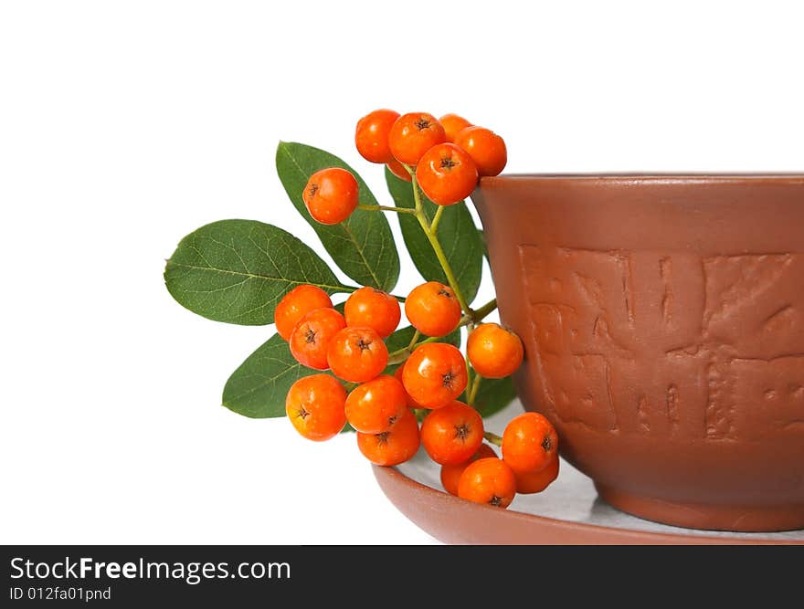 Ceramic cup and mountain ash isolated on a white background