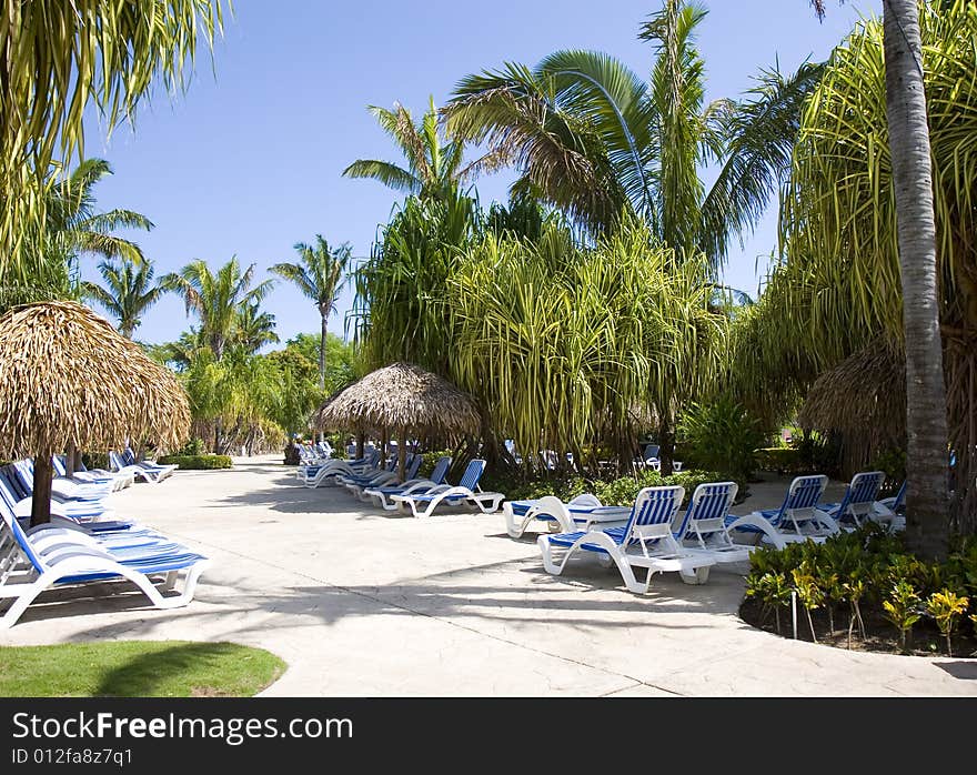 Beautiful entrance to tropical pool area with palms and blue and white chairs. Beautiful entrance to tropical pool area with palms and blue and white chairs