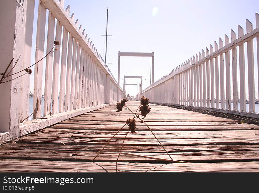 Weeds on Pier