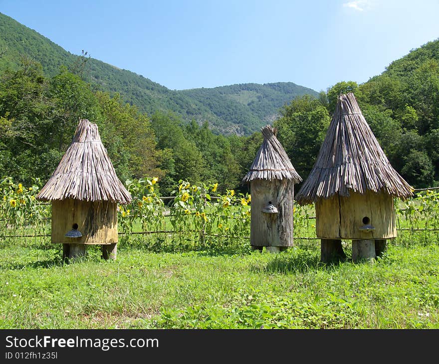 Funny bee home near mountain. Funny bee home near mountain