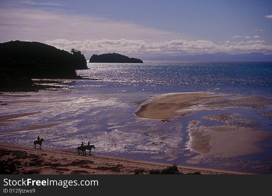 Horse riding at Abel Tasman