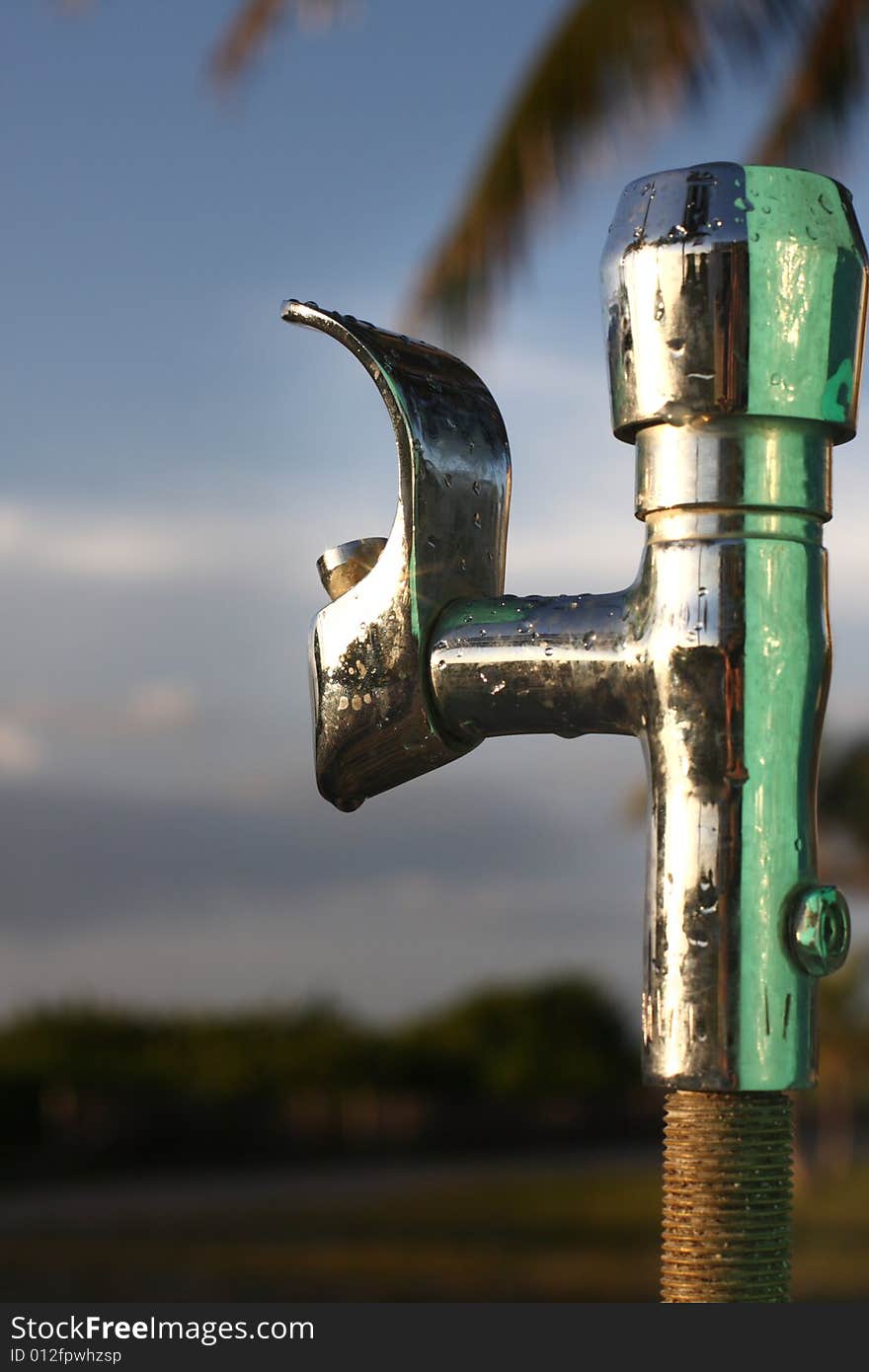 Drinking Fountain