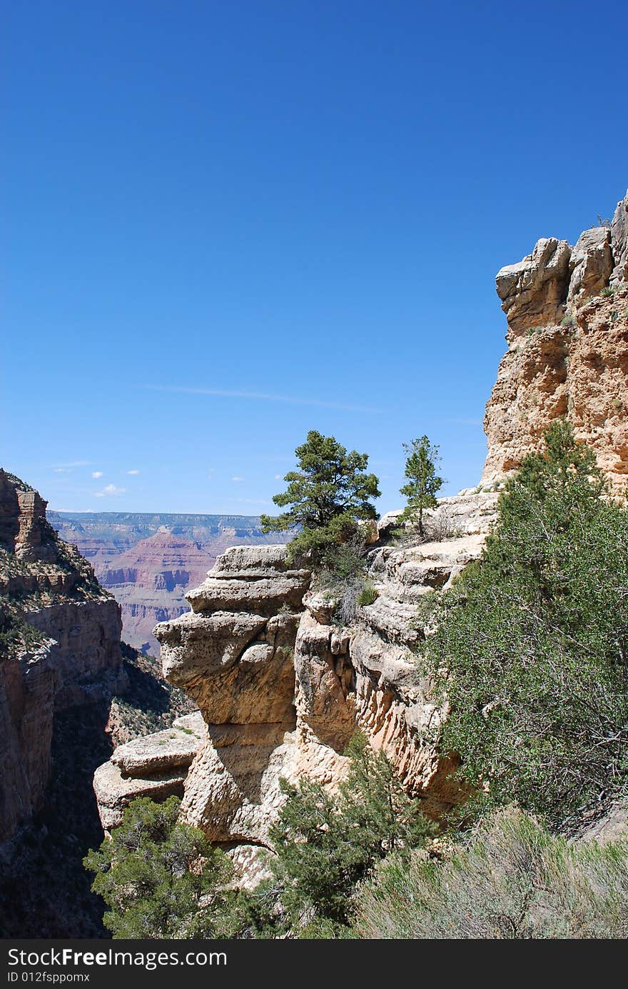 Trees On Cliffs, Grand Canyon