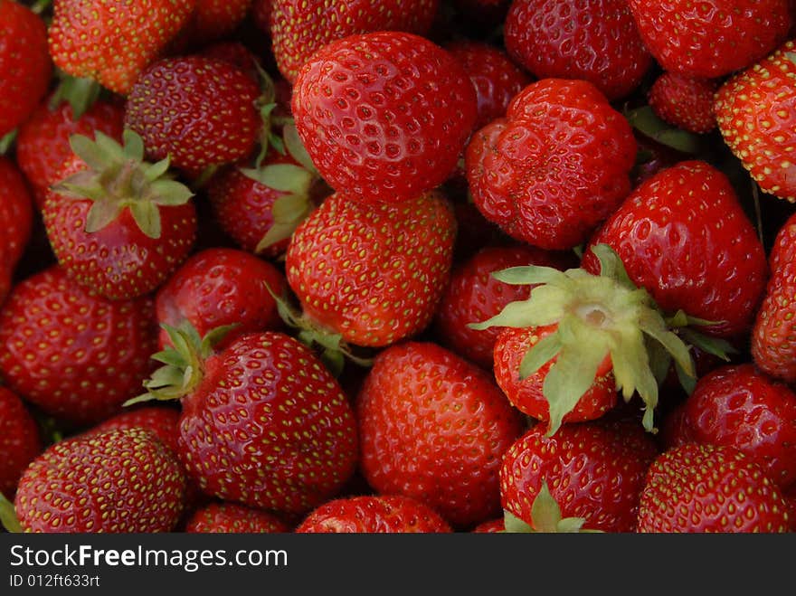 Many red ripe juicy strawberries with sepals