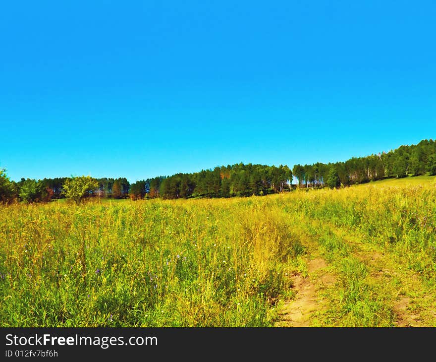 Summer field with country road, blue sky and forest. Summer field with country road, blue sky and forest