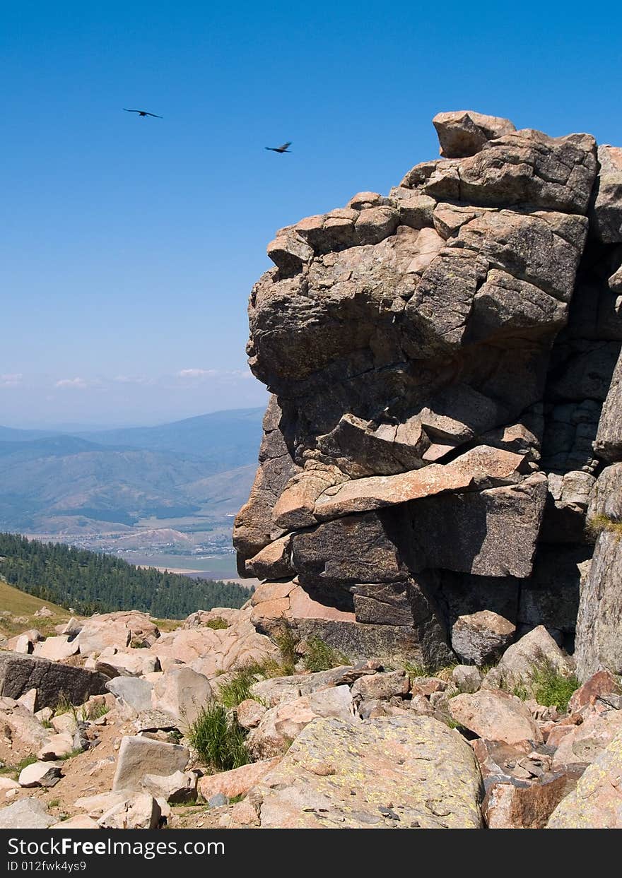 Mountainous landscape in summer with birds. Mountainous landscape in summer with birds