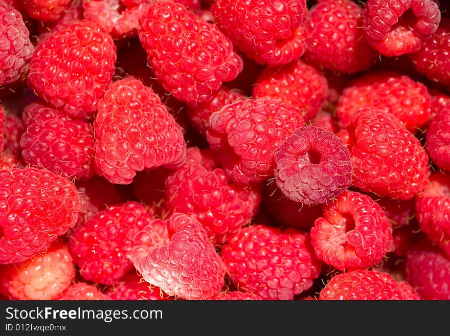 Fresh raspberry