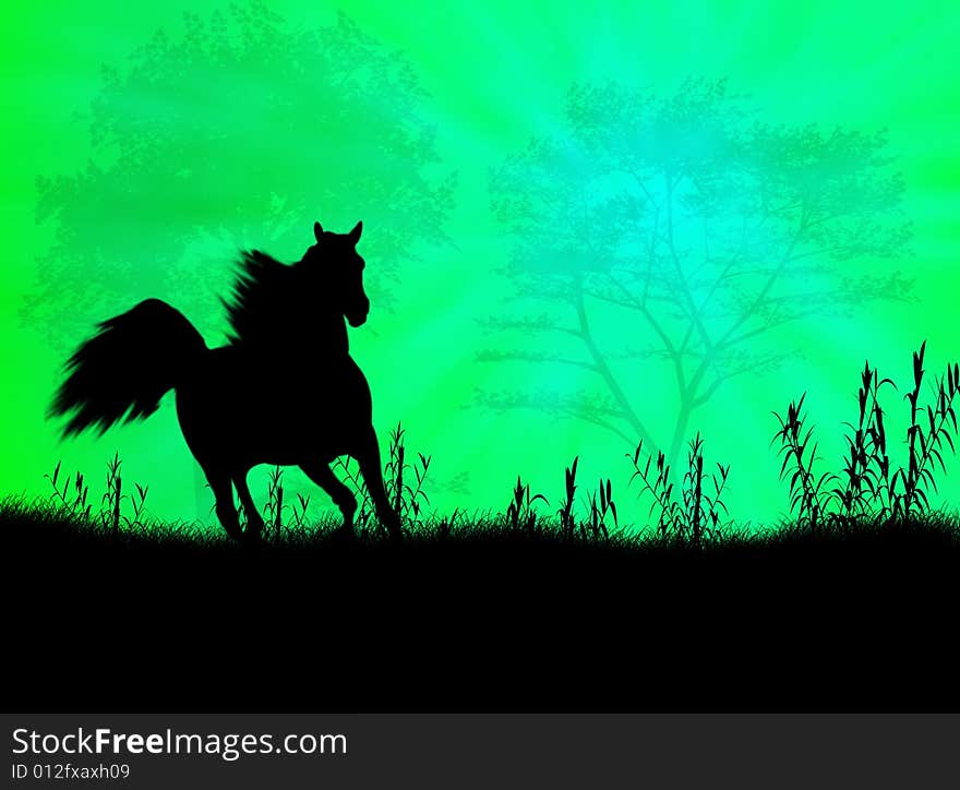 Black wild horse against a colorful sunset. Black wild horse against a colorful sunset