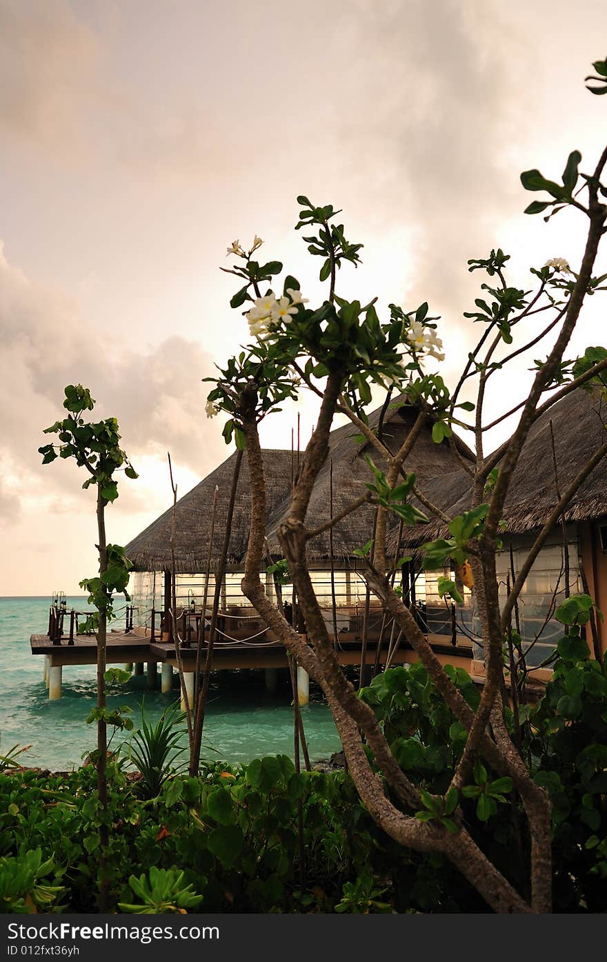 Bungalow at Maldivien resort