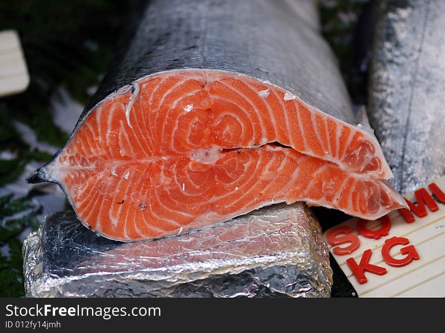 Fresh Salmon For Sale