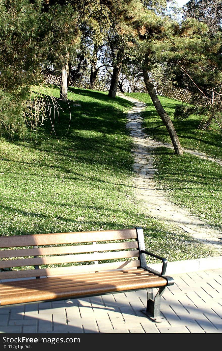 Bench under a upward alley in sunshine