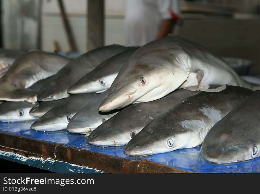 Sharks on Market