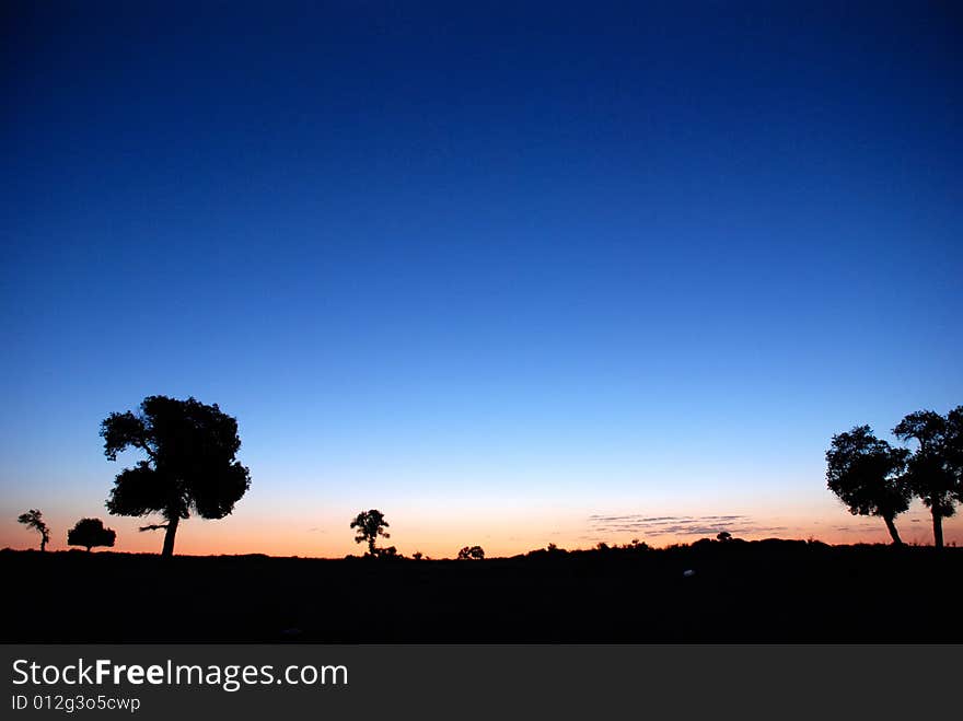 The time of sunrise with blue sky