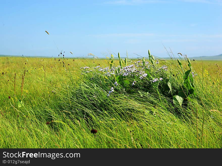 Nailin Gol Grassland