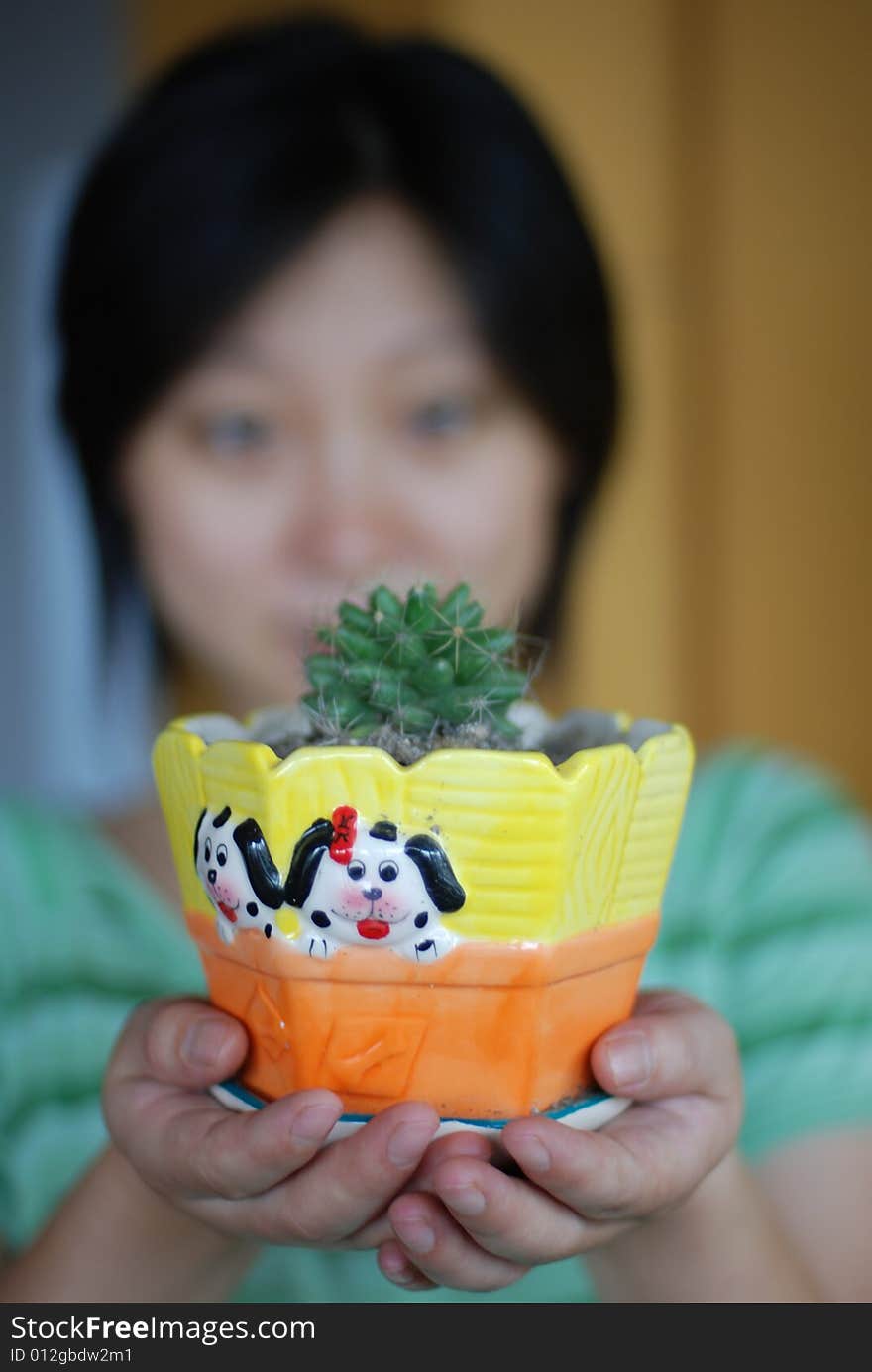 Thorny cactus in hands of a girl