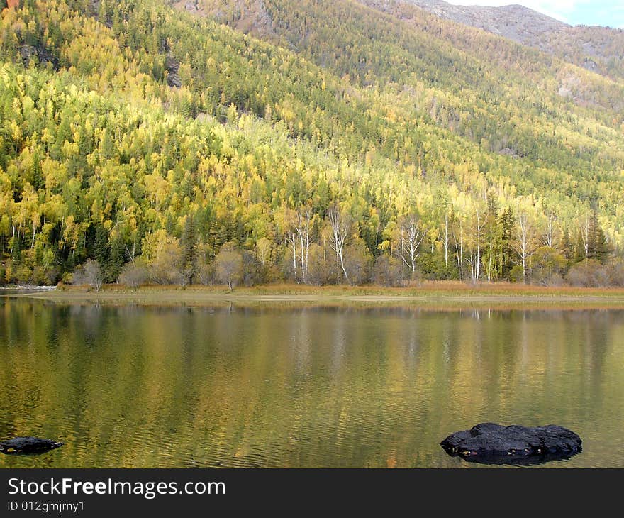 Autumn trees mirrored in lake. Autumn trees mirrored in lake.