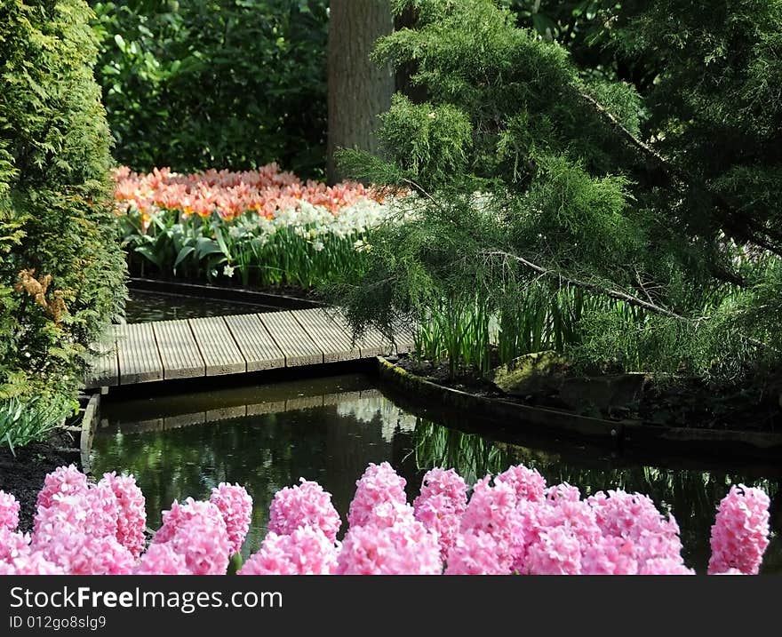 Small wooden footbridge in the spring garden, Keukenhof. Small wooden footbridge in the spring garden, Keukenhof