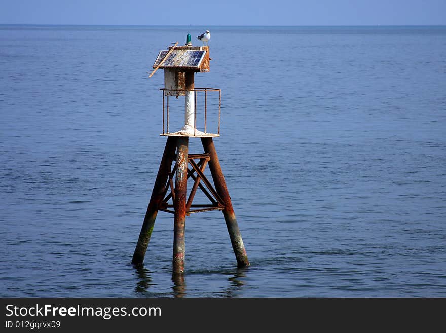 Broken, half sunk solar beacon and seagull.