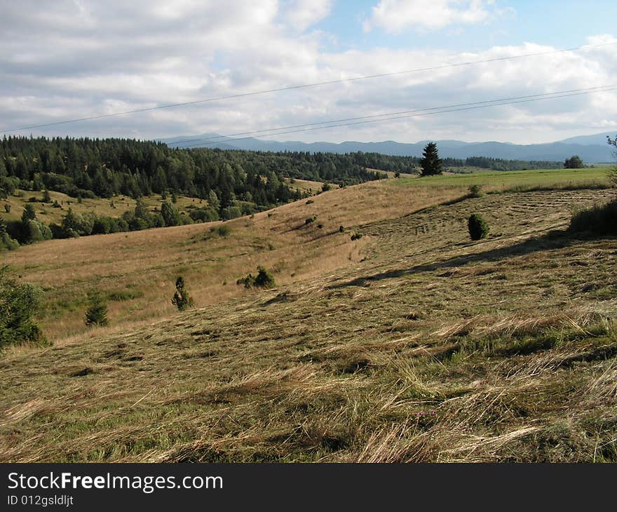 Late afernoon, meadow under western Tatra mountains. Theese large meadows are used as pasture lands for sheep herds. Late afernoon, meadow under western Tatra mountains. Theese large meadows are used as pasture lands for sheep herds...