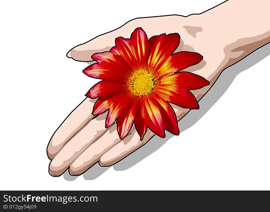 The red flower lays on a female palm. An illustration. The red flower lays on a female palm. An illustration.