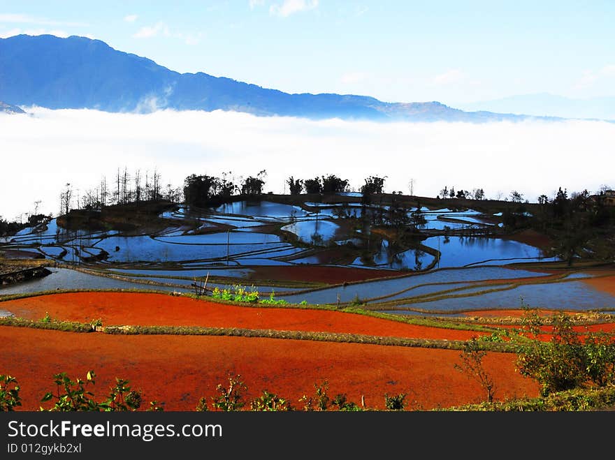 The terrace with the color of the sky is beautiful. The terrace with the color of the sky is beautiful.