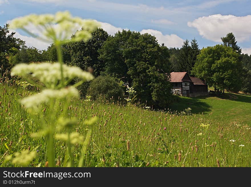 A field in the Zdarsky kraj region. A field in the Zdarsky kraj region.