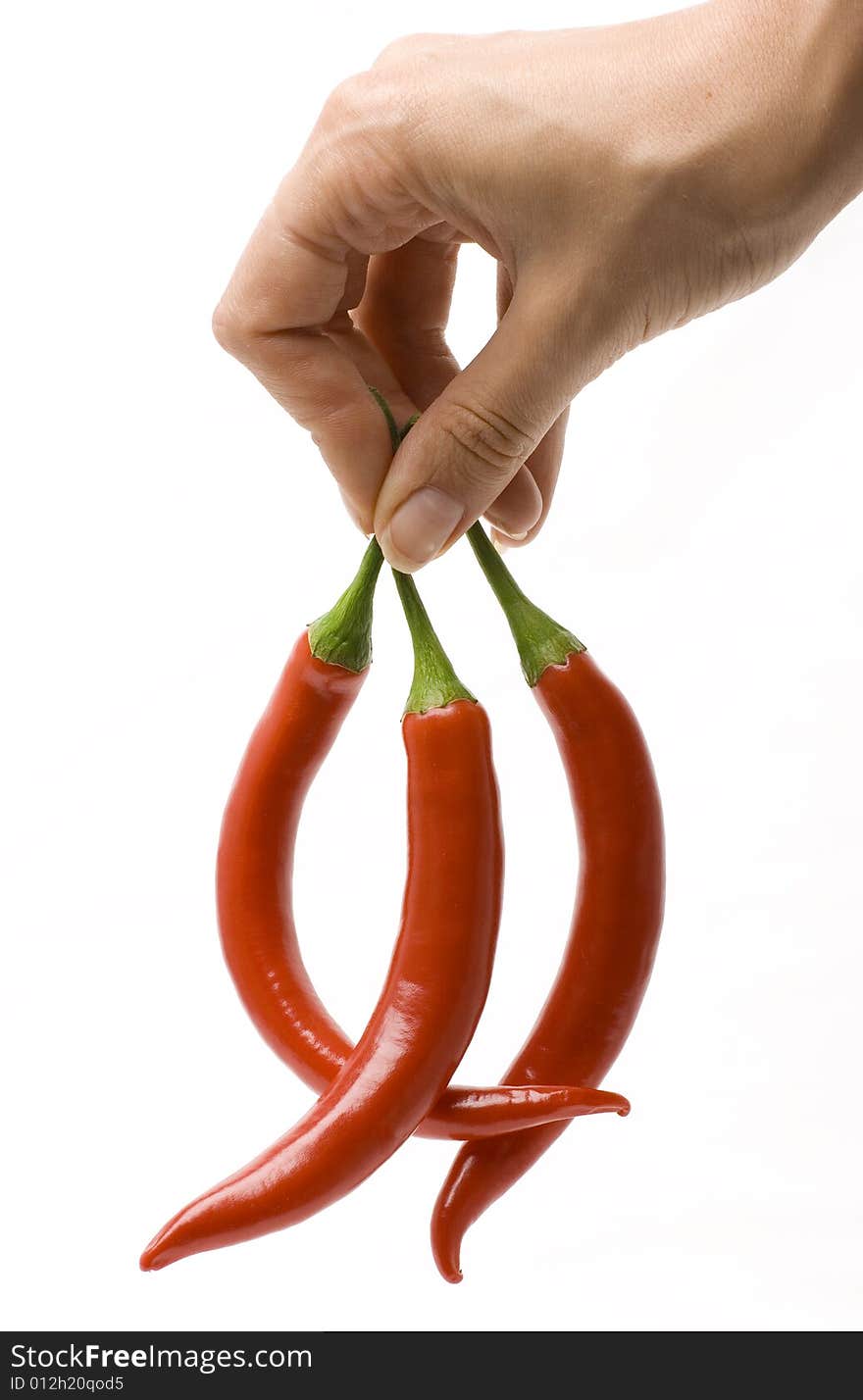 Red pepper on white background