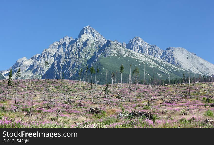 High Tatras Mountains, Slovakia