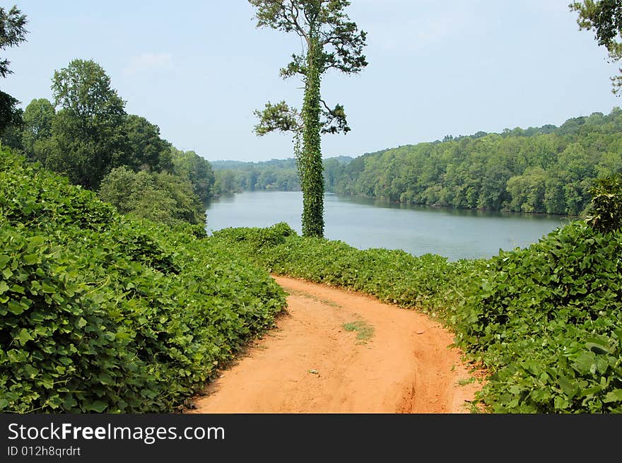 Along the river