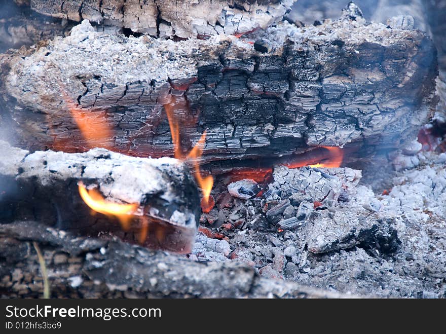 Cook out fire with rock ring around it