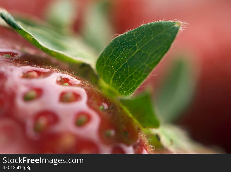 Close-up Strawberries