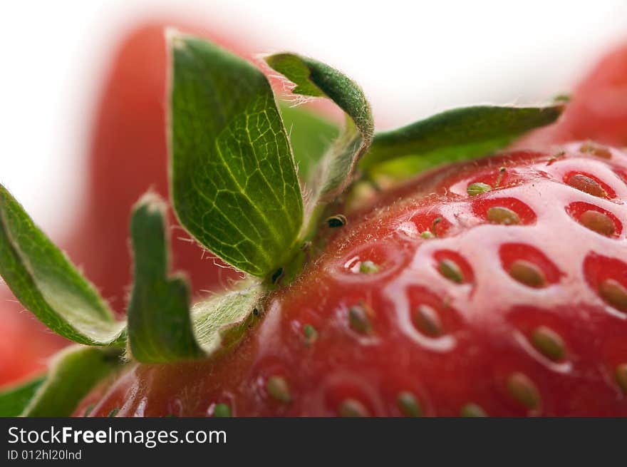 Close-up Strawberries