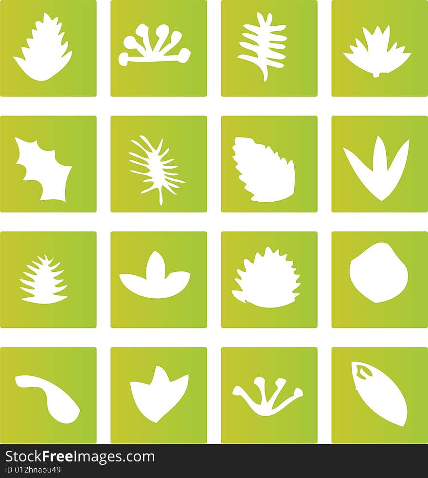 A selection of scalable vector green icons representing different types of leaves from a tree. A selection of scalable vector green icons representing different types of leaves from a tree.