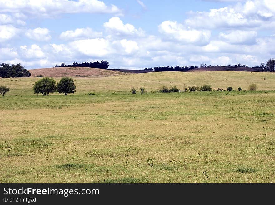 Field for grazing live stock , cattle horses etc.